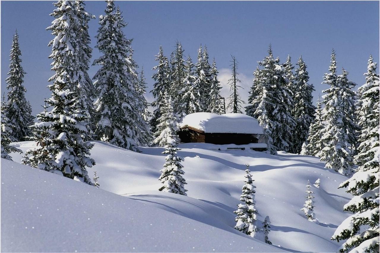 Haus Zur Kapelle Villa Sankt Gallenkirch Exteriör bild